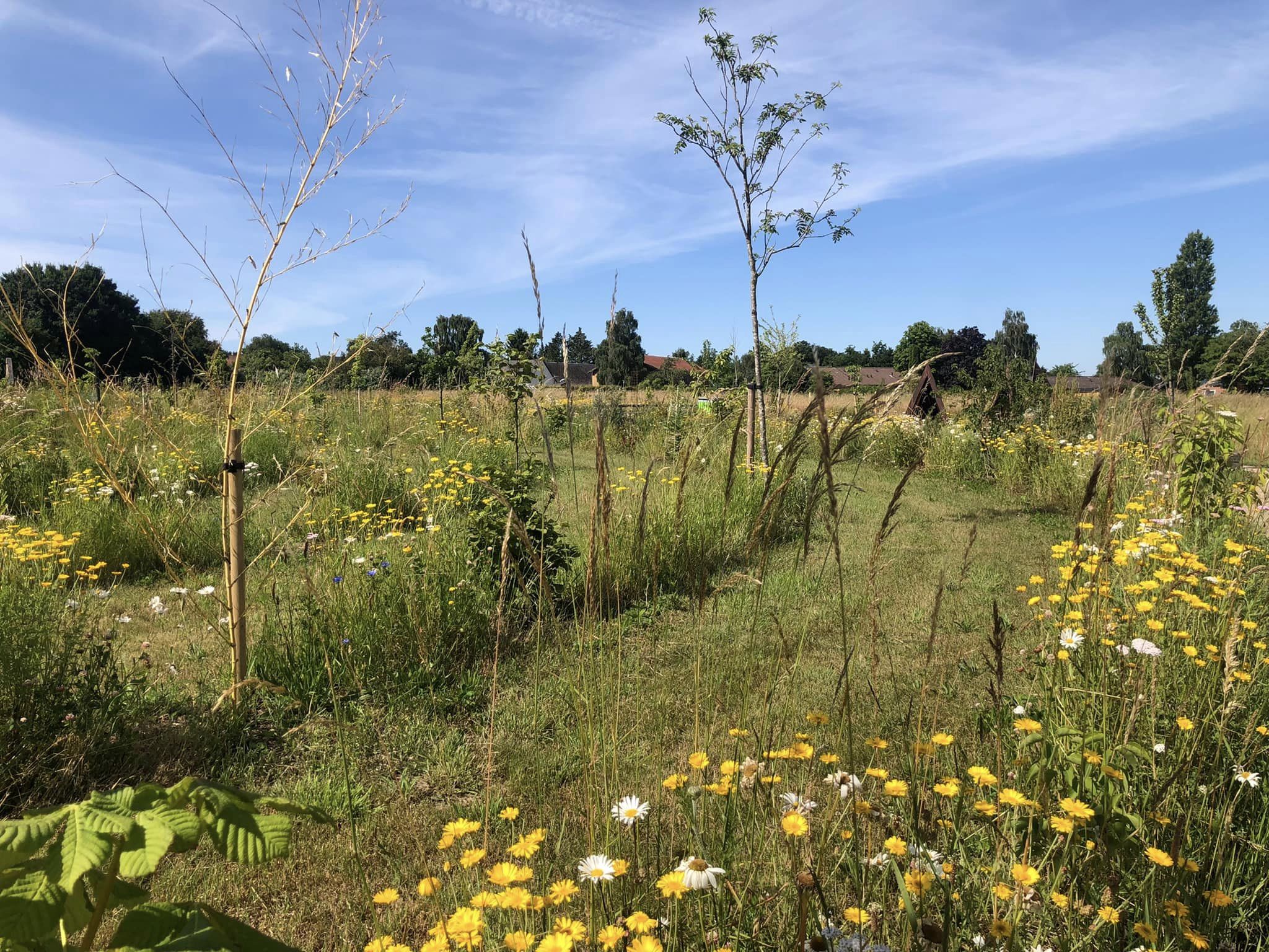 290329081_10160272291619539_1405161606504987243_n